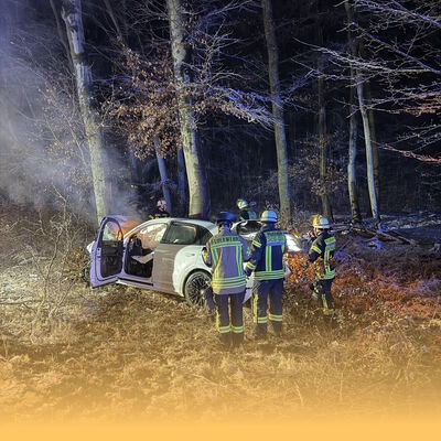 Bild vergr&ouml;&szlig;ern: PUMA01