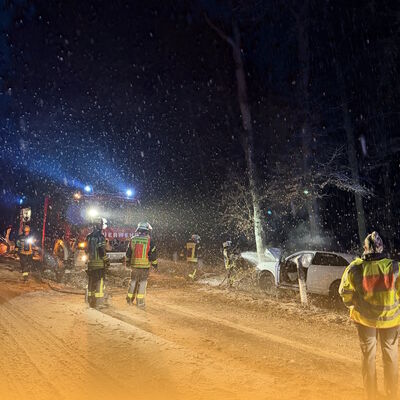 Bild vergr&ouml;&szlig;ern: PUMA02