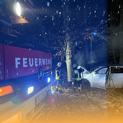 Bild vergr&ouml;&szlig;ern: PUMA03