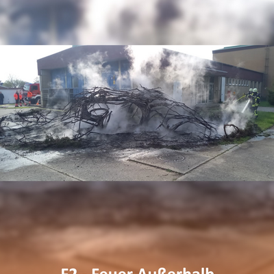 Bild vergr&ouml;&szlig;ern: F2-Dornheim01