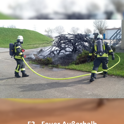 Bild vergr&ouml;&szlig;ern: F2-Dornheim02