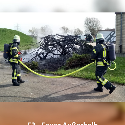 Bild vergr&ouml;&szlig;ern: F2-Dornheim03