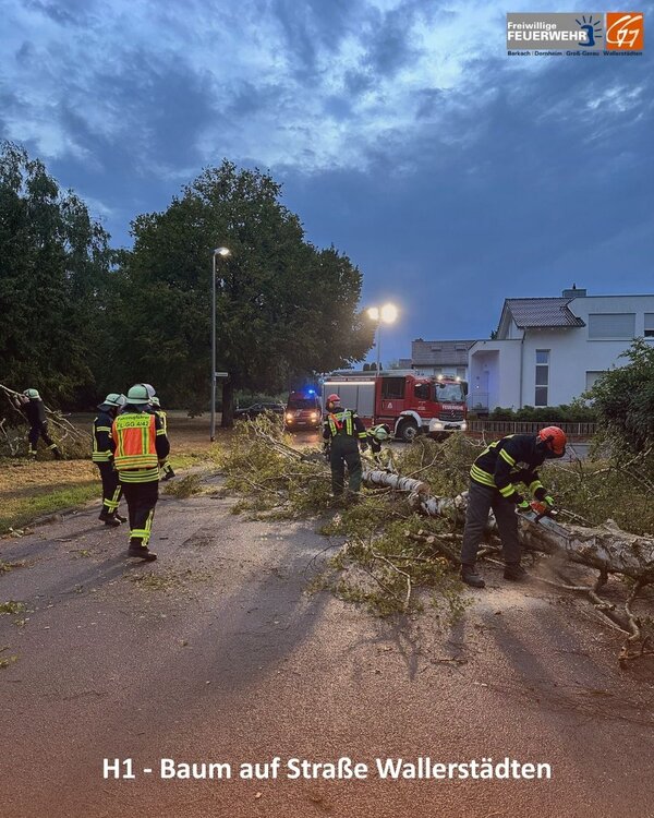 Bild vergr&ouml;&szlig;ern: H1-Wallerstädten02